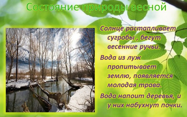 Презентация для обучения пониманию простых действий дошкольников с ОВЗ 